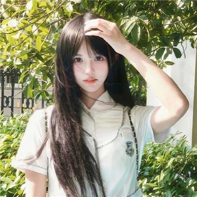 完美伴侣